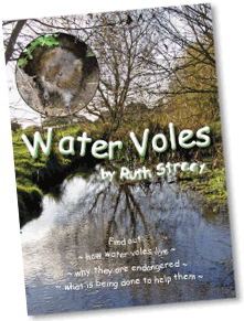 Water Voles